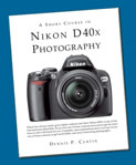 Nikon D 40X