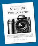 Nikon D 80